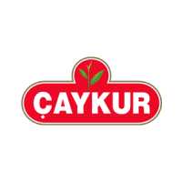 Caykur
